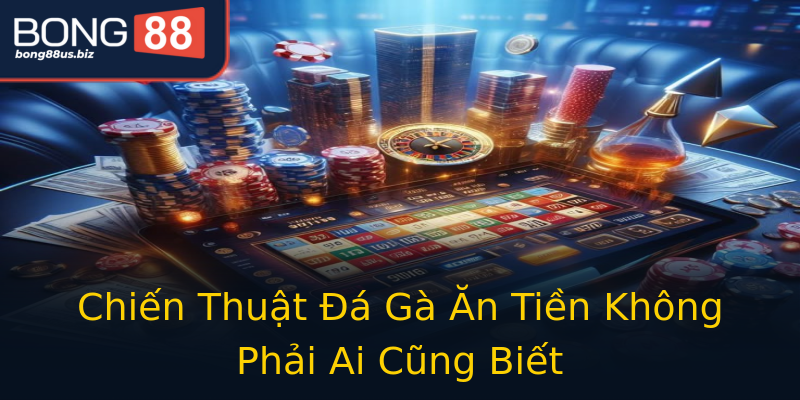 Chiến Thuật Đá Gà Ăn Tiền Không Phải Ai Cũng Biết Chiến Thuật Đá Gà Ăn Tiền Không Phải Ai Cũng Biết