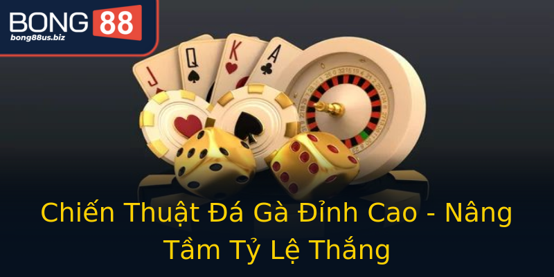 Chiến Thuật Đá Gà Đỉnh Cao - Nâng Tầm Tỷ Lệ Thắng Chiến Thuật Đá Gà Đỉnh Cao - Nâng Tầm Tỷ Lệ Thắng