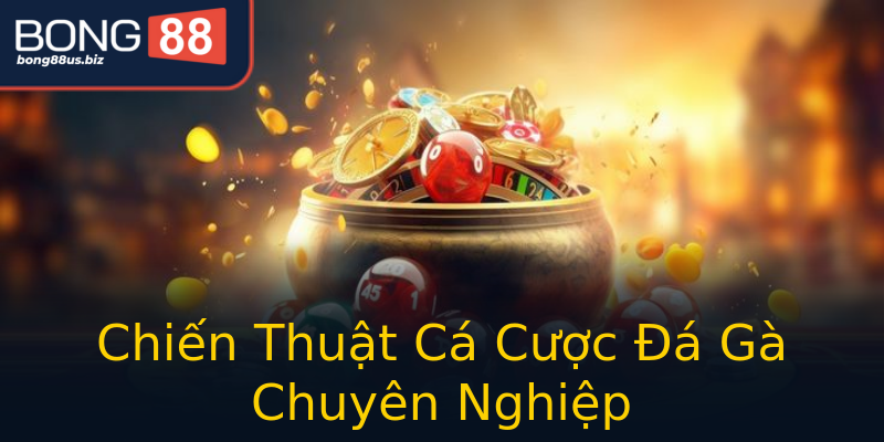 Chiến Thuật Cá Cược Đá Gà Chuyên Nghiệp Chiến Thuật Cá Cược Đá Gà Chuyên Nghiệp