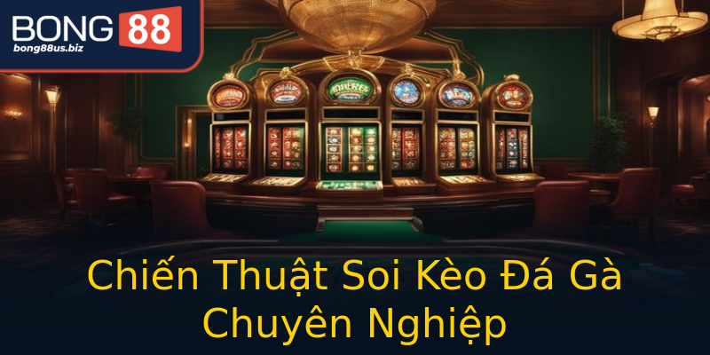 Chiến Thuật Soi Kèo Đá Gà Chuyên Nghiệp Chiến Thuật Soi Kèo Đá Gà Chuyên Nghiệp