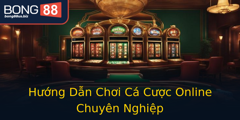 Hướng Dẫn Chơi Cá Cược Online Chuyên Nghiệp Hướng Dẫn Chơi Cá Cược Online Chuyên Nghiệp