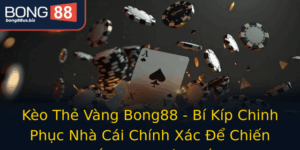 Keo The Vang Bong88 Bi Kip Chinh Phuc Nha Cai Chinh Xac E Chien Thang Moi Tran Au