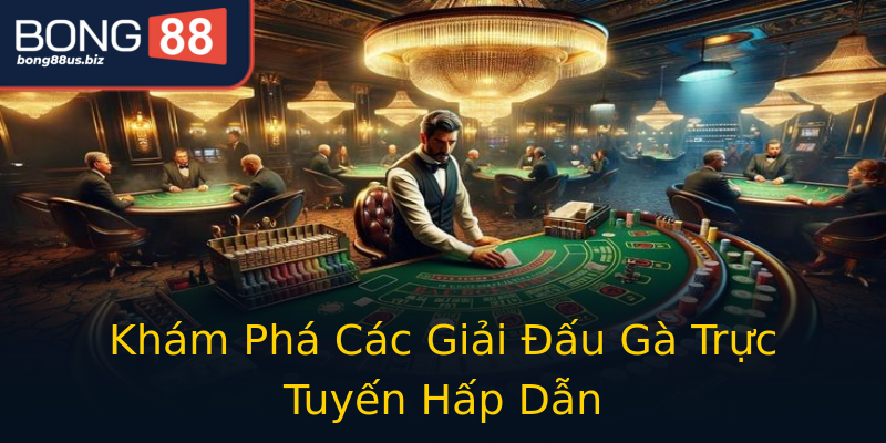 Khám Phá Các Giải Đấu Gà Trực Tuyến Hấp Dẫn Khám Phá Các Giải Đấu Gà Trực Tuyến Hấp Dẫn