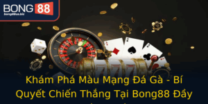 Kham Pha Mau Mang A Ga Bi Quyet Chien Thang Tai Bong88 Ay Thach Thuc