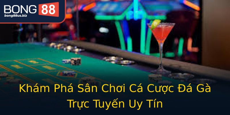 Khám Phá Sân Chơi Cá Cược Đá Gà Trực Tuyến Uy Tín Khám Phá Sân Chơi Cá Cược Đá Gà Trực Tuyến Uy Tín