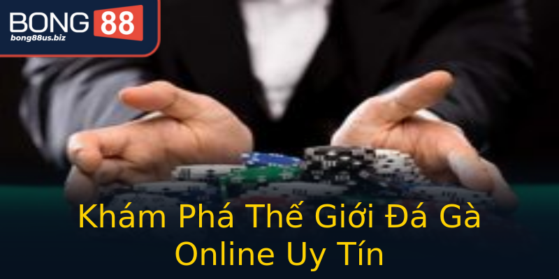 Khám Phá Thế Giới Đá Gà Online Uy Tín Khám Phá Thế Giới Đá Gà Online Uy Tín