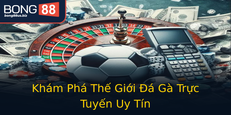 Khám Phá Thế Giới Đá Gà Trực Tuyến Uy Tín Khám Phá Thế Giới Đá Gà Trực Tuyến Uy Tín