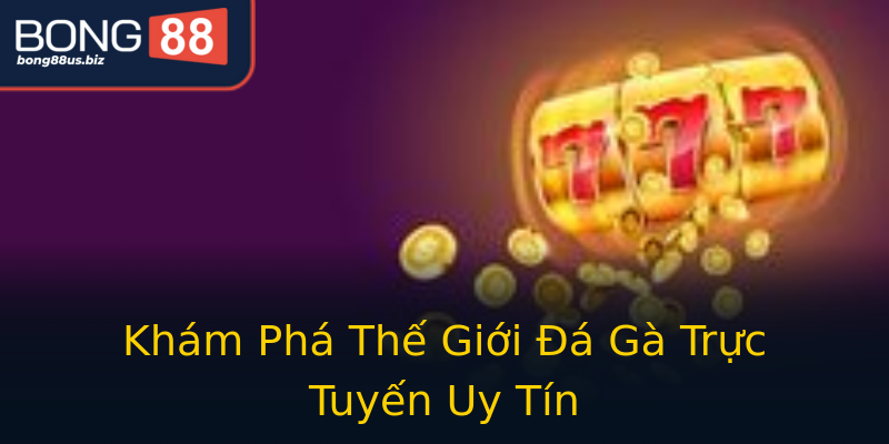 Khám Phá Thế Giới Đá Gà Trực Tuyến Uy Tín Khám Phá Thế Giới Đá Gà Trực Tuyến Uy Tín