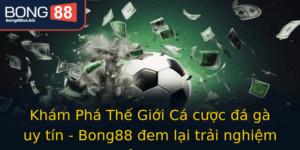 Kham Pha The Gioi Ca Cuoc A Ga Uy Tin Bong88 Em Lai Trai Nghiem Inh Cao
