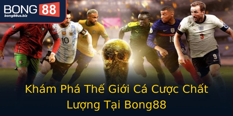 Khám Phá Thế Giới Cá Cược Chất Lượng Tại Bong88