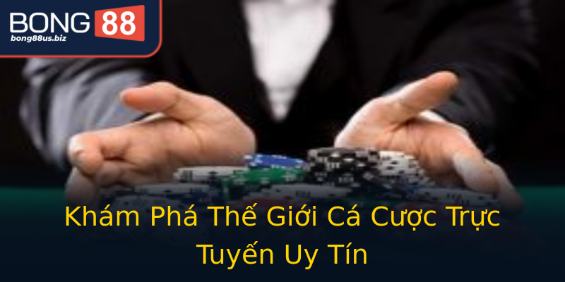 Khám Phá Thế Giới Cá Cược Trực Tuyến Uy Tín Khám Phá Thế Giới Cá Cược Trực Tuyến Uy Tín