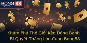 Kham Pha The Gioi Keo Ong Banh Bi Quyet Thang Lon Cung Bong88 Hien Nay