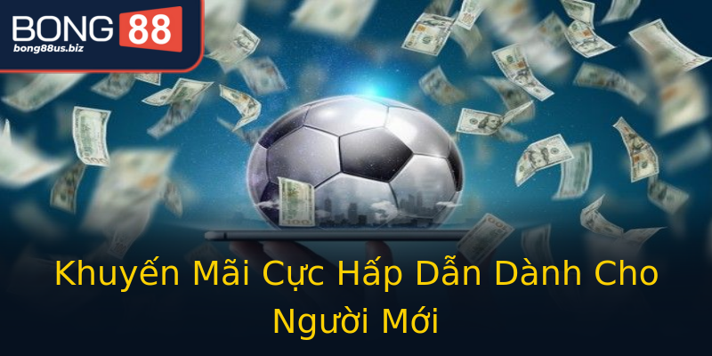 Khuyến Mãi Cực Hấp Dẫn Dành Cho Người Mới Khuyến Mãi Cực Hấp Dẫn Dành Cho Người Mới