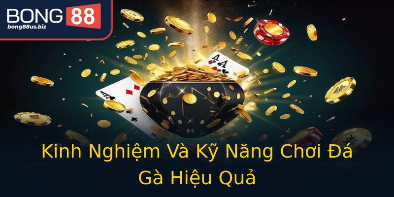 Kinh Nghiệm Và Kỹ Năng Chơi Đá Gà Hiệu Quả Kinh Nghiệm Và Kỹ Năng Chơi Đá Gà Hiệu Quả