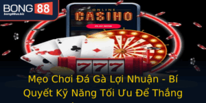 Meo Choi A Ga Loi Nhuan Bi Quyet Ky Nang Toi Uu E Thang Am Tai Bong88