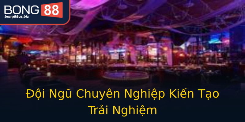 Đội Ngũ Chuyên Nghiệp Kiến Tạo Trải Nghiệm Đội Ngũ Chuyên Nghiệp Kiến Tạo Trải Nghiệm