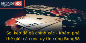 Soi Keo A Ga Chinh Xac Kham Pha The Gioi Ca Cuoc Uy Tin Cung Bong88