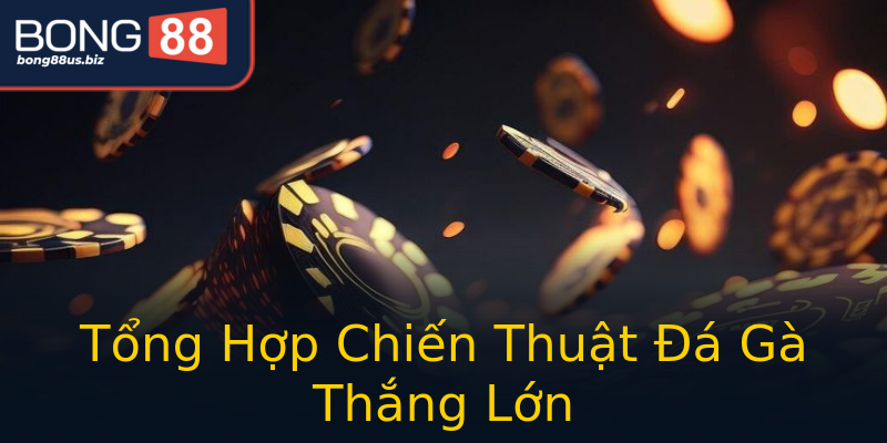 Tổng Hợp Chiến Thuật Đá Gà Thắng Lớn Tổng Hợp Chiến Thuật Đá Gà Thắng Lớn